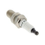 EVC300 Spark Plug