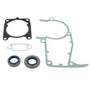 MS241C Set Of Gaskets