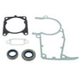 MS241C Set Of Gaskets