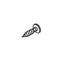 Pan Head Self-Tapping Screw IS P5x22 for Tree Surgeons, ideal for securing various materials.