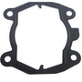 Cylinder Gasket TS800, TS700