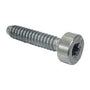 STIHL TS410, TS420 Pan Head Self-Tapping Screw IS-D5x24 - Genuine Spare Part