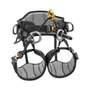 Sequoia Tree Climbing Harness from Petzl with wide, padded waistbelt and leg loops for arborists.