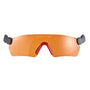 Protos integrated safety glasses designed for tree surgeons, fitting Protos chainsaw helmets seamlessly.