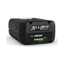 STIHL ALLPRO AP 100 P 40V lightweight professional battery, front view.