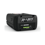 AP 200 P Battery ALLPRO