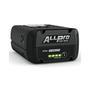STIHL ALLPRO AP 300 P 40V professional battery, front view showing tabless cell design.