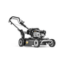 Weibang Virtue 53 SMPX LV Petrol Mulcher Lawnmower