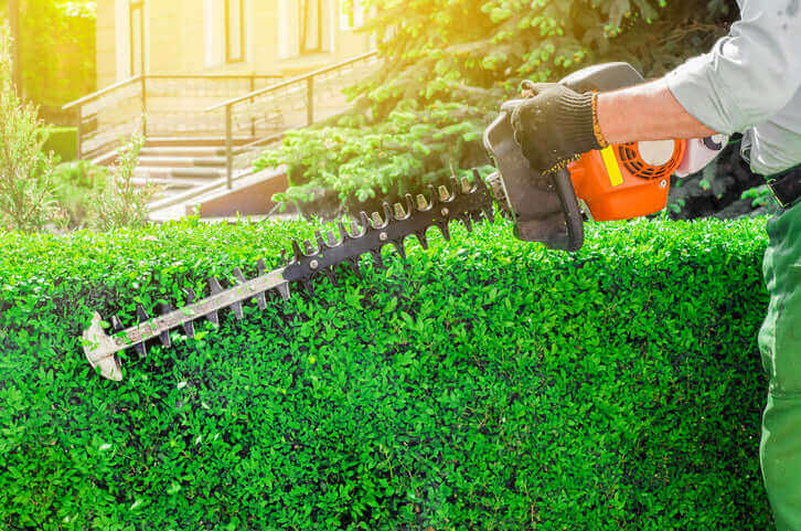 The Ultimate Guide On All You Need To Know About Stihl Hedge Trimmers - trimming a hedge with a Stihl hedge trimmer.