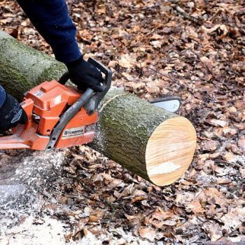 How To Cut A Tree Down In Your Garden using a chainsaw on a log in a garden with fallen leaves.