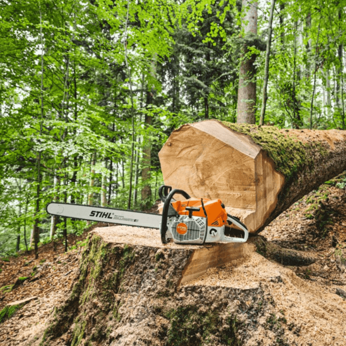 Choosing the Best STIHL Chainsaw: Your Ultimate Guide to Power and Precision - STIHL chainsaw cutting through wood in a forest.