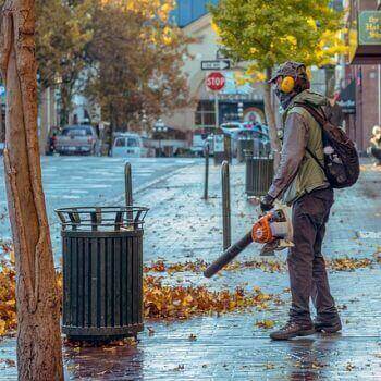 Everything You Need To Know About Stihl Leaf Blowers: A person using a leaf blower to clear leaves from a street.