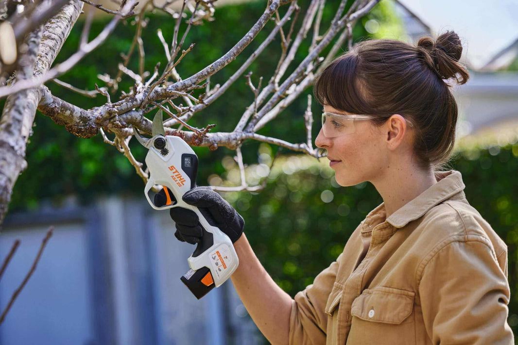 STIHL ASA 20 Review: Power and Precision in Your Garden - using battery secateurs for pruning branches.