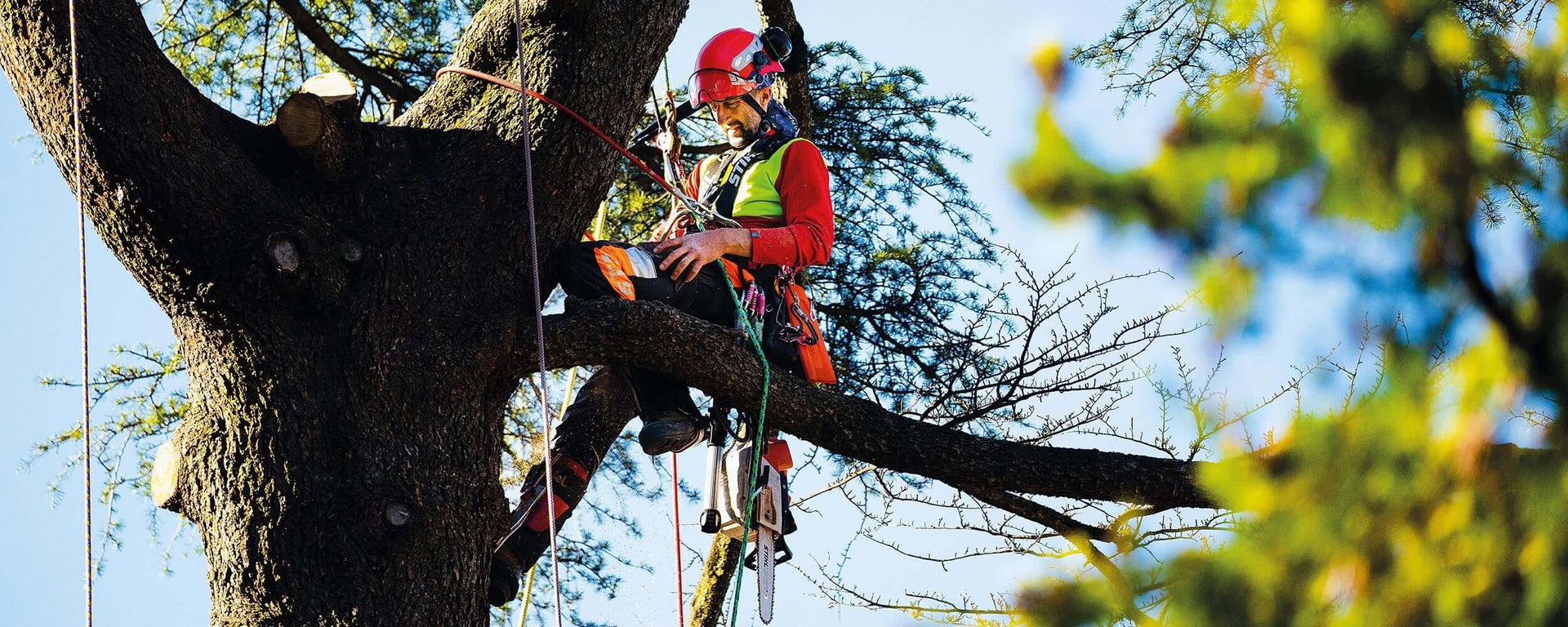 Tree surgeon using C.A.M.P climbing gear while working in a tree, showcasing safety and expertise in arboriculture.