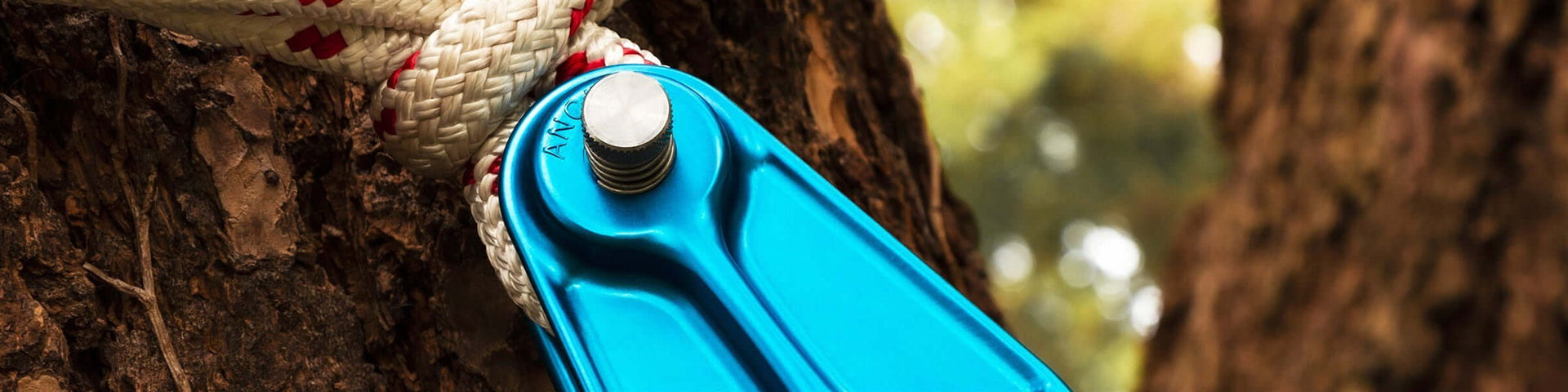 Close-up of ISC lowering equipment attached to rope for tree surgeon rigging operations.
