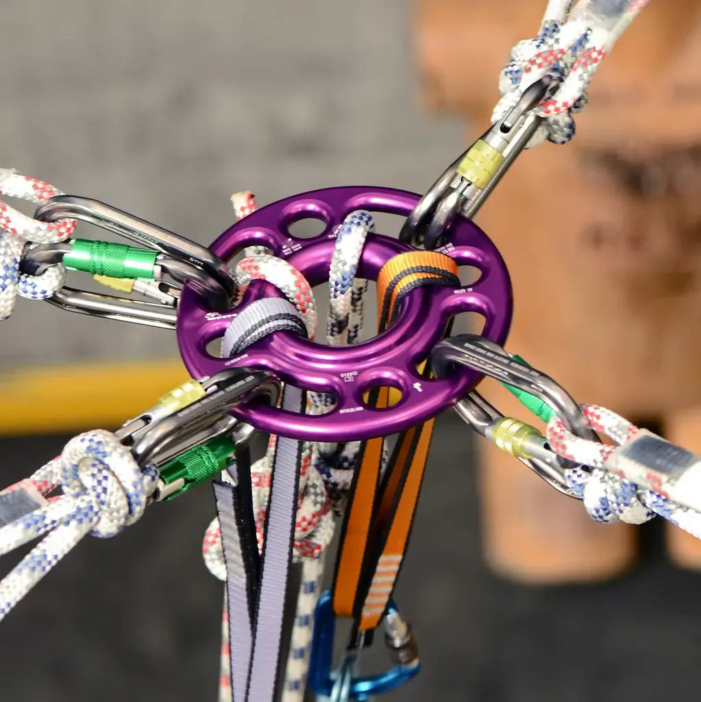 Close-up of a purple rigging plate with multiple roped connections, essential for tree surgeons in safe rigging applications.
