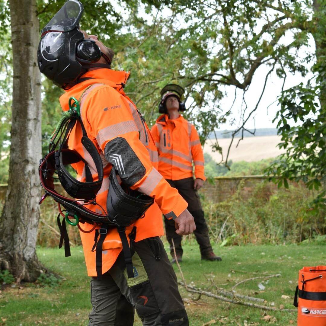 Tree surgeons in safety gear working outdoors, demonstrating Harkie's innovative arborist clothing.