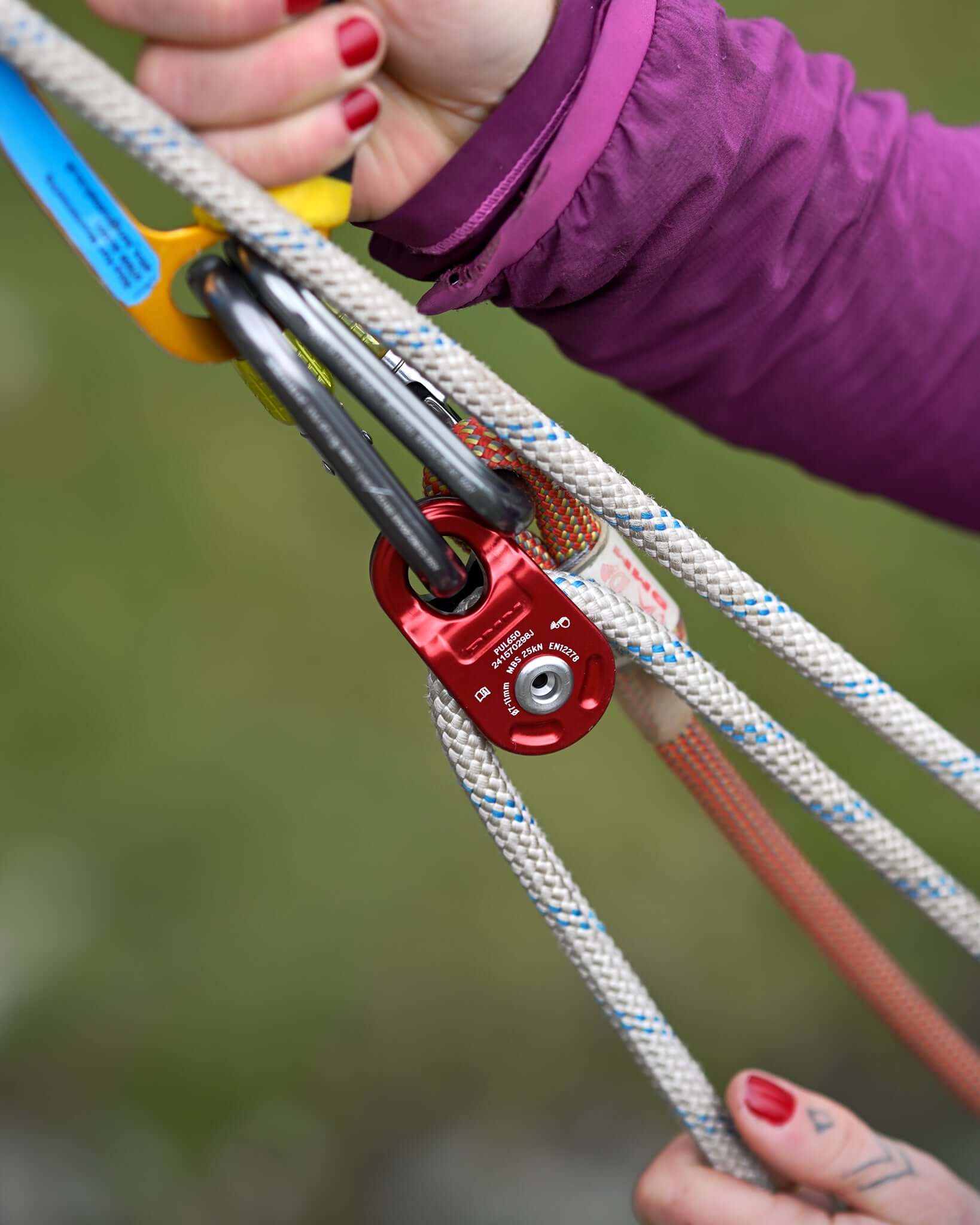 Tree surgeon using a tree climbing pulley and carabiner for secure rope management.