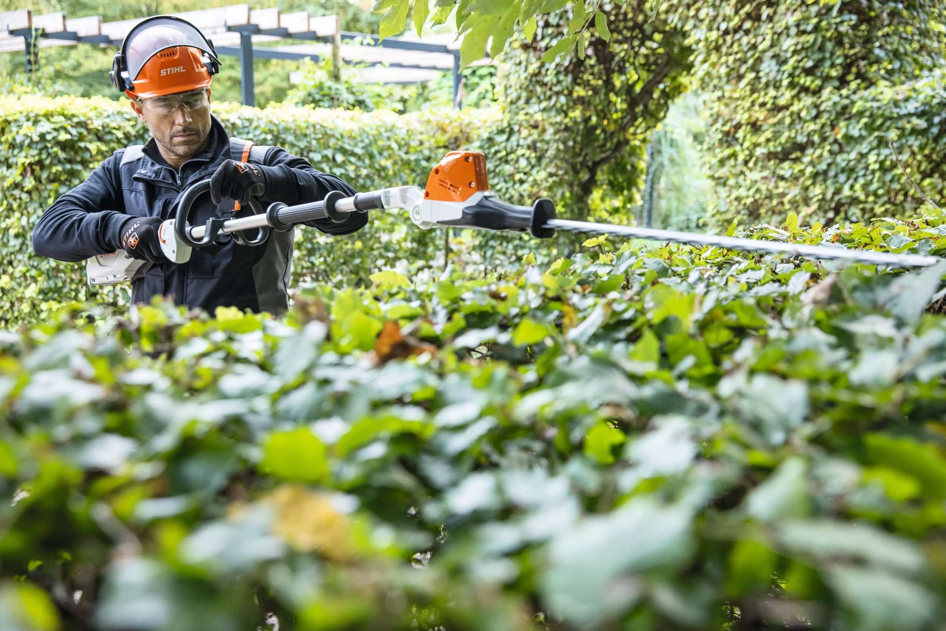 Tree surgeon using a STIHL hedge trimmer for precise cutting of overgrown hedges in a garden.
