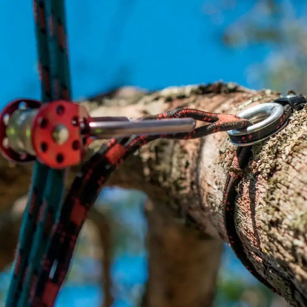 Close-up of ART SnakeTail setup on tree branch, essential for tree surgeons in climbing and working with ropes.