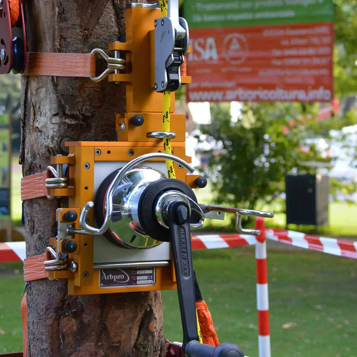 Manual Forestry Winches & Hauling Gear attached to a tree for controlled lifting and hauling in forestry work.