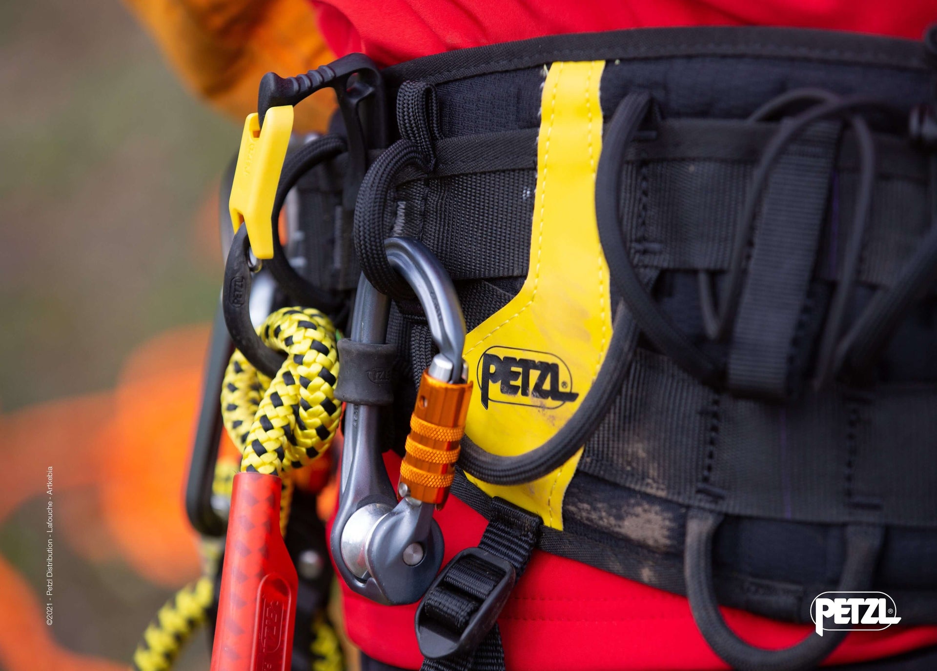 Close-up of PETZL autolock carabiners and climbing gear on a harness, ideal for tree surgeons and climbing safety.
