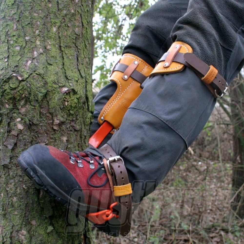 Tree climbing spike spares on boots attached to a tree, ideal for tree surgeons to maintain climbing equipment.