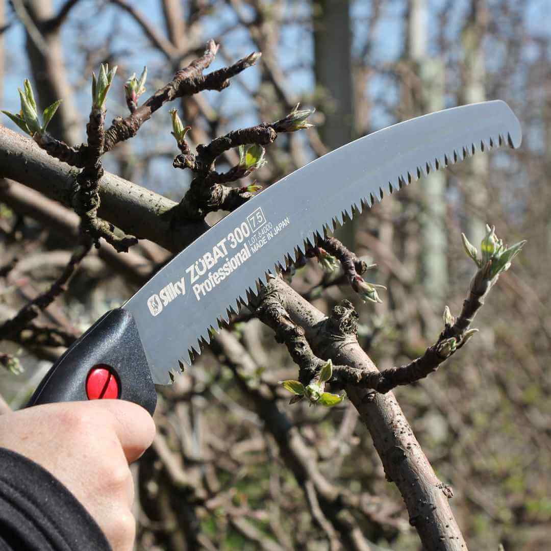 Curved hand saw for tree care, ideal for tree surgeons, pruning branches, and precise cuts.