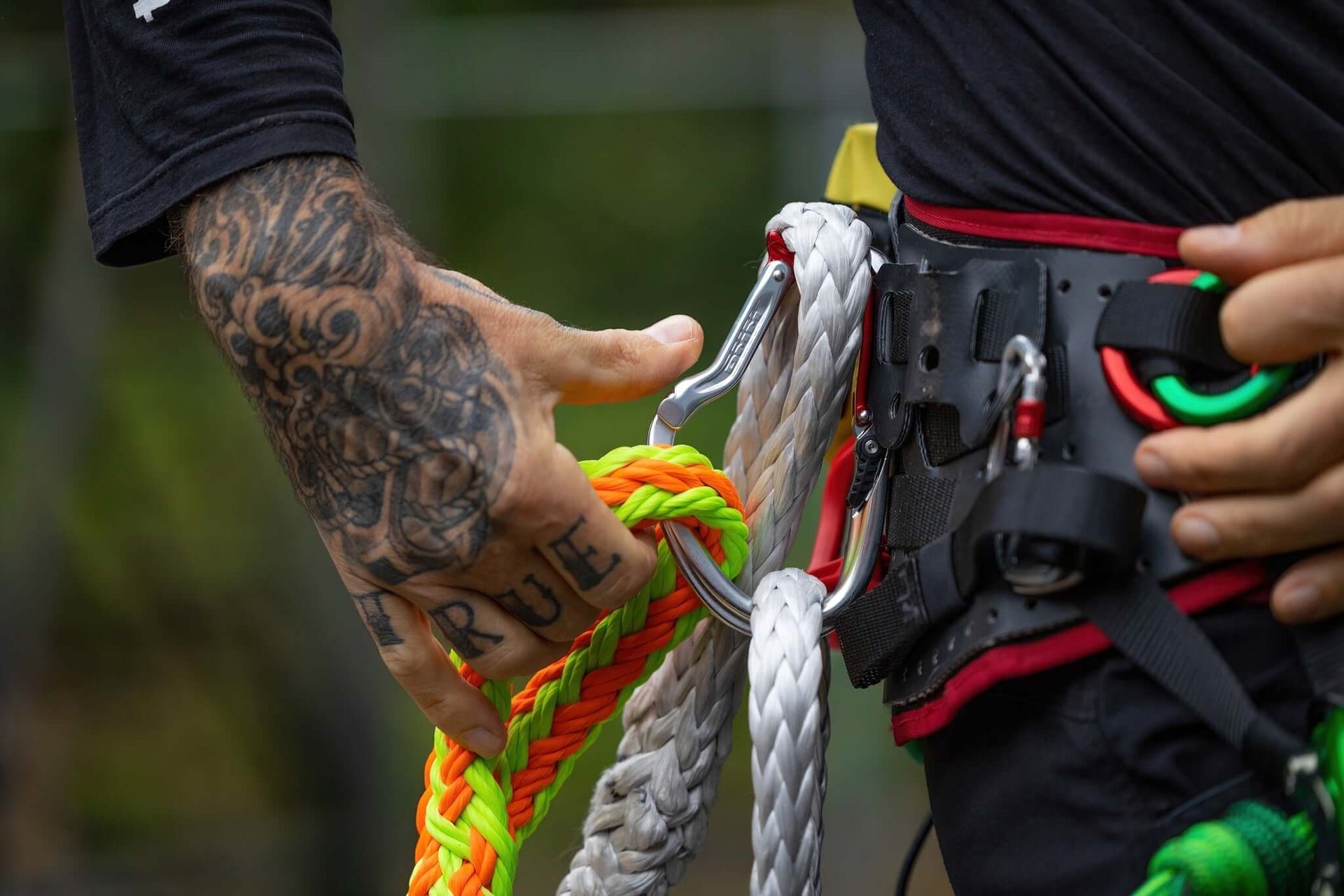 Tree surgeon securing climbing ropes with carabiners and connectors for safety in tree work.