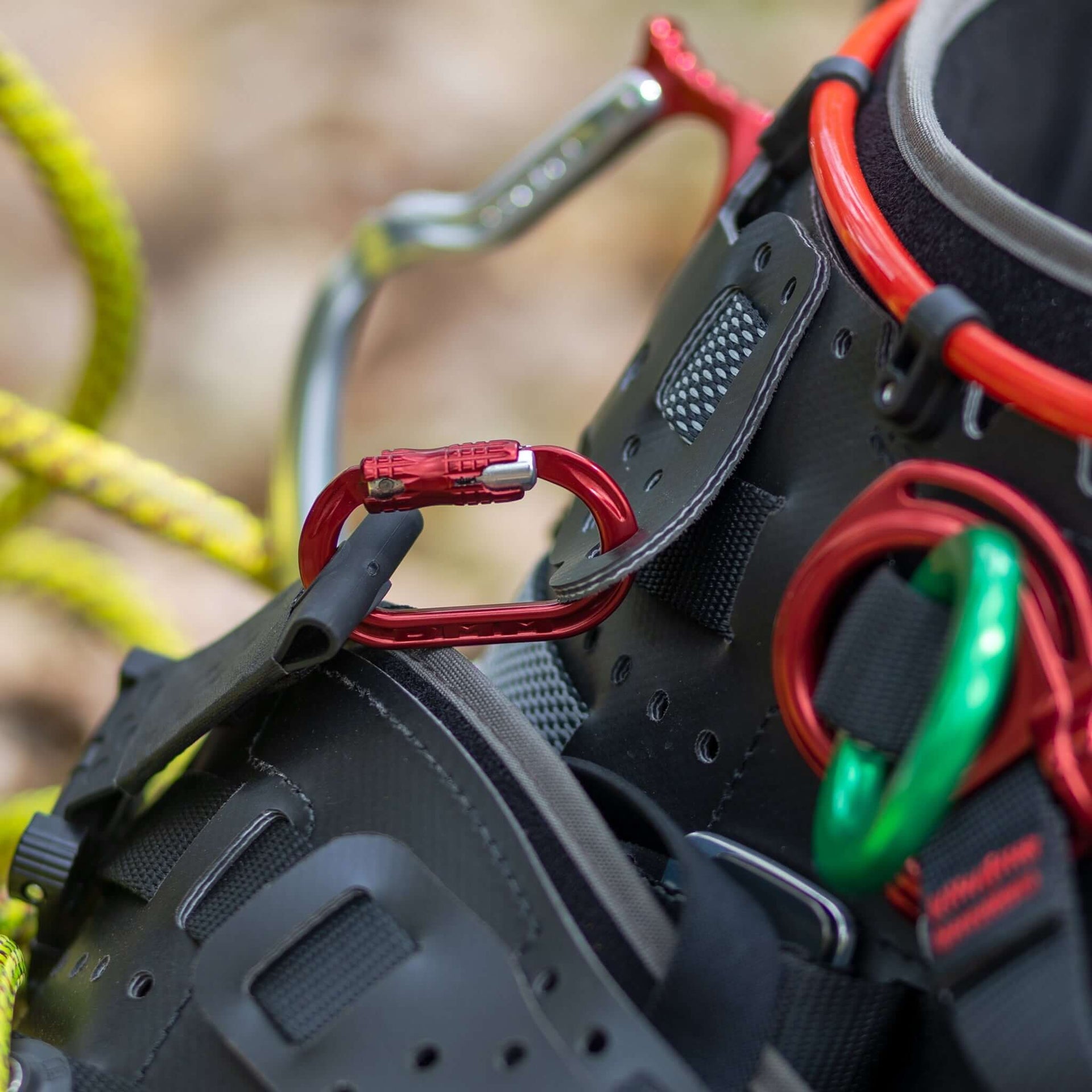Close-up of climbing harness with carabiner clips and ropes, essential for tree surgeons' safety and efficiency.
