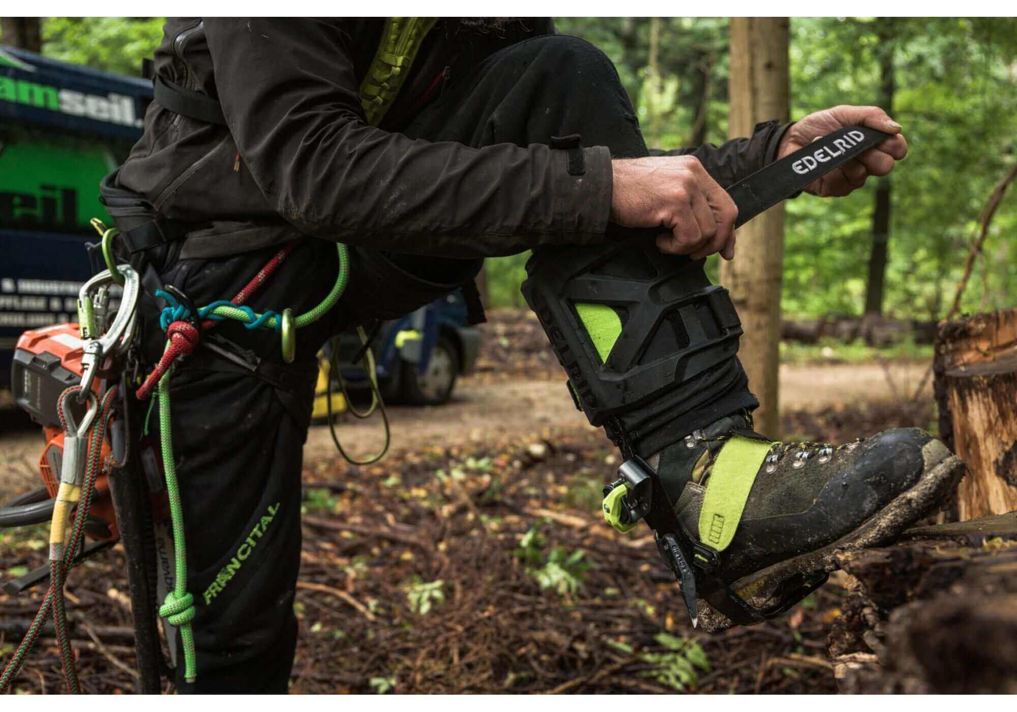 Tree surgeon wearing Edelrid climbing spikes, adjusting straps while preparing for tree work outdoors.