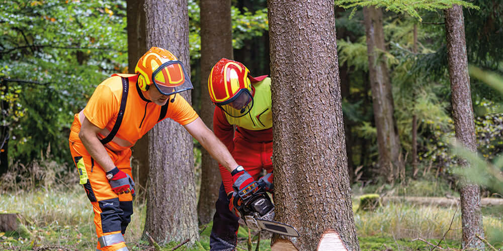 Tree surgeons wearing Protos Integral Chainsaw Helmets, cutting a tree in a forested area.