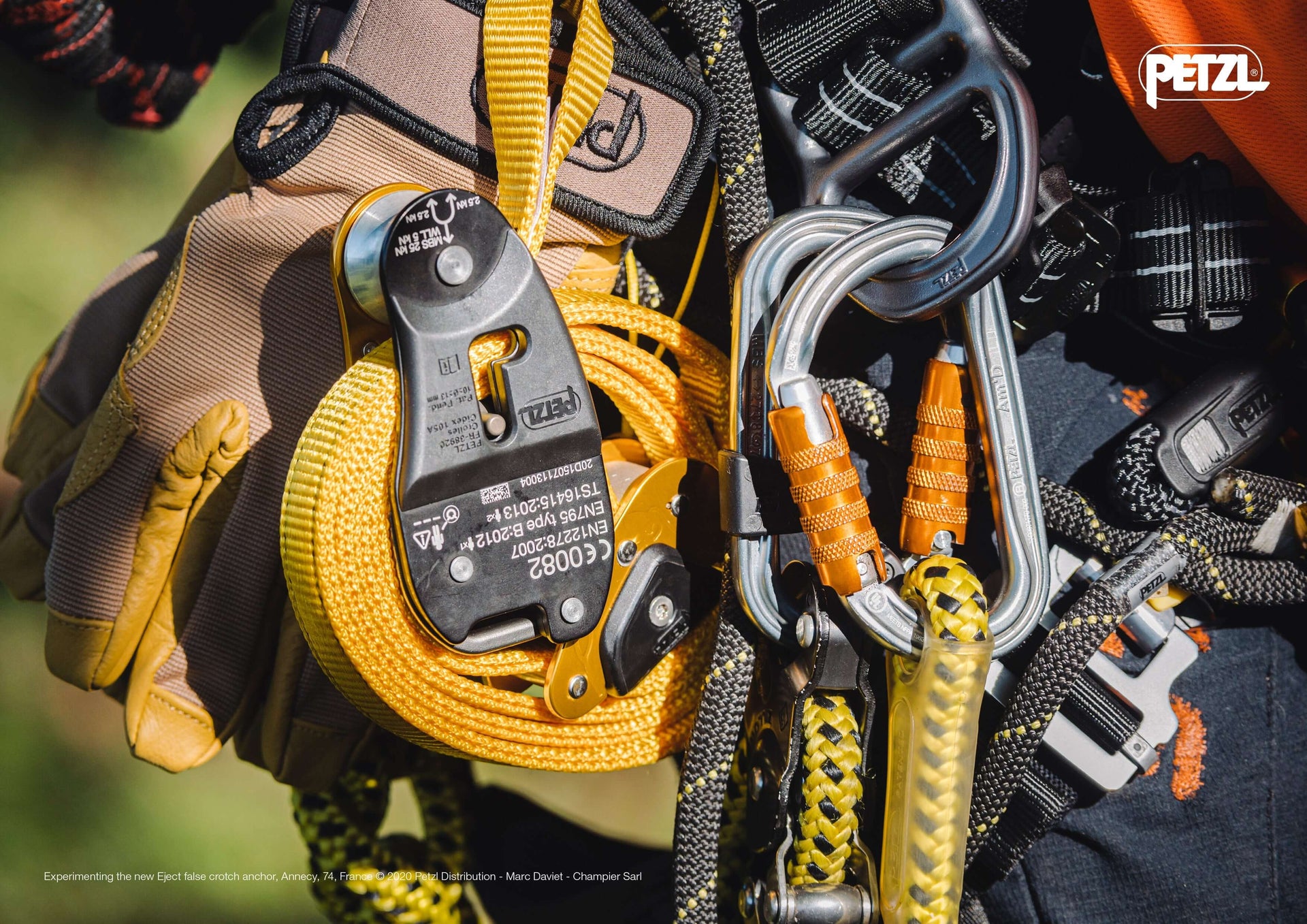 Close-up of tree climbing gear, including a Petzl rope, carabiners, and ascender, ideal for tree surgeons.