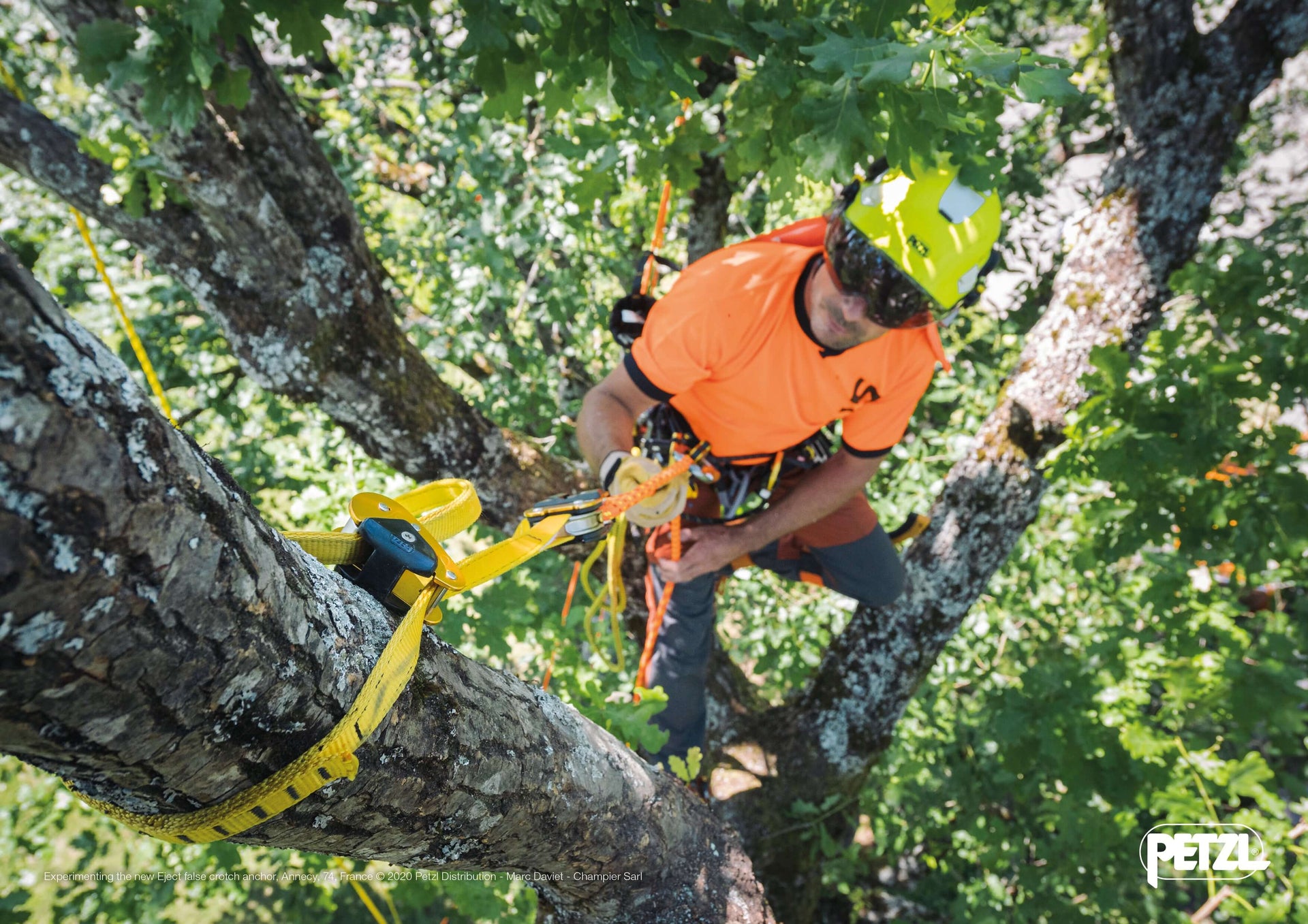Tree surgeon using friction saver while climbing a tree, ensuring rope protection and tree safety.