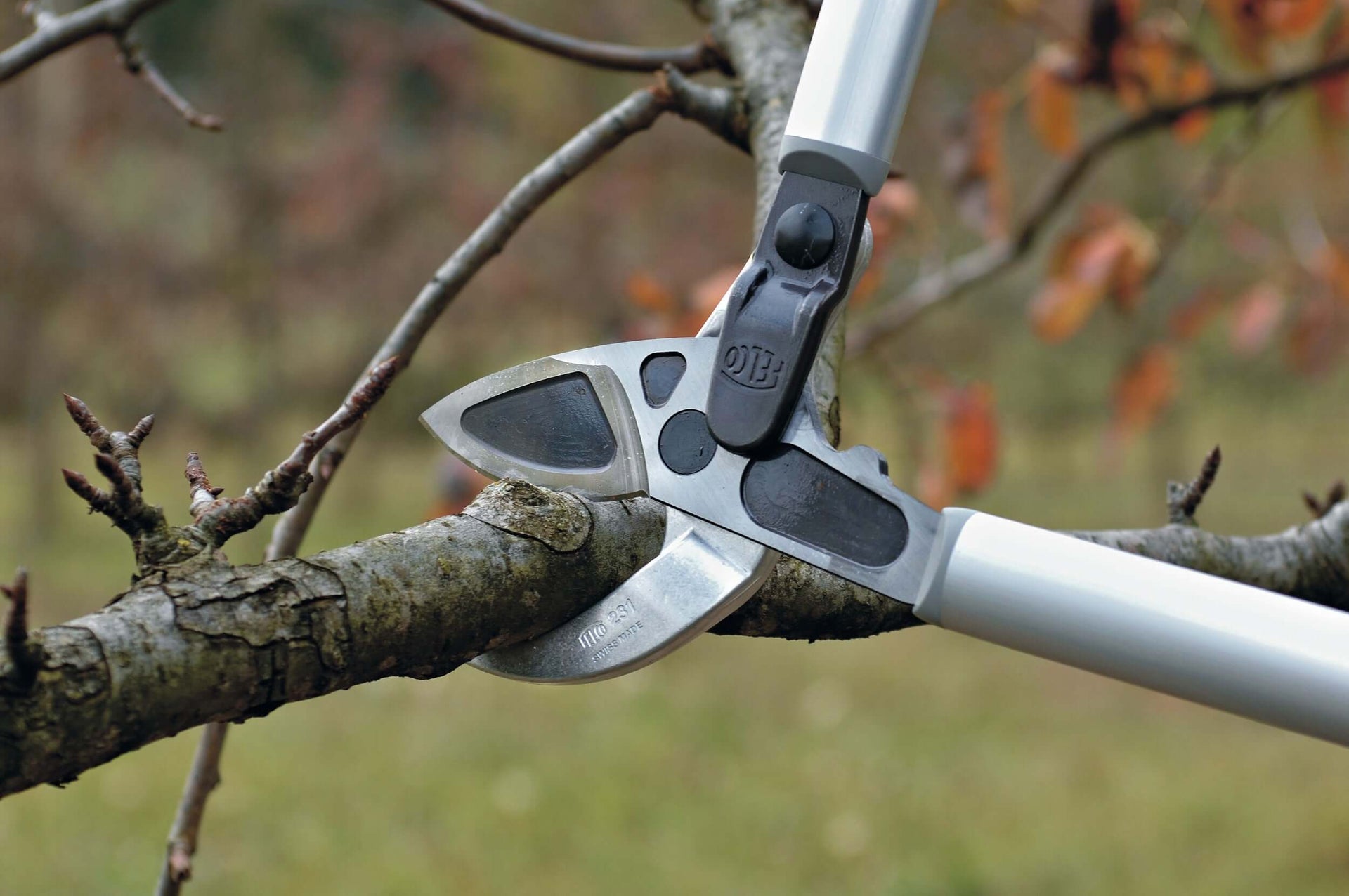 Close-up of high-quality pruning shears cutting through a tree branch, essential tool for tree surgeons and landscapers.