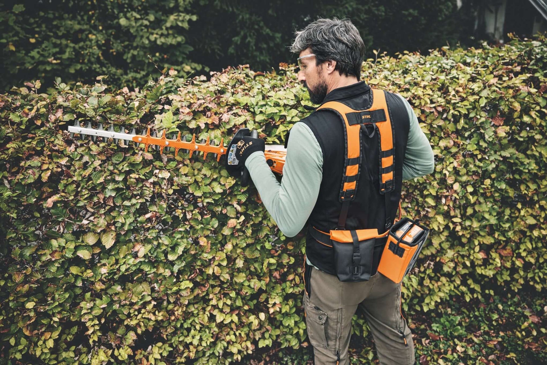 Tree surgeon using a specialized forestry belt and holster while trimming a hedge.