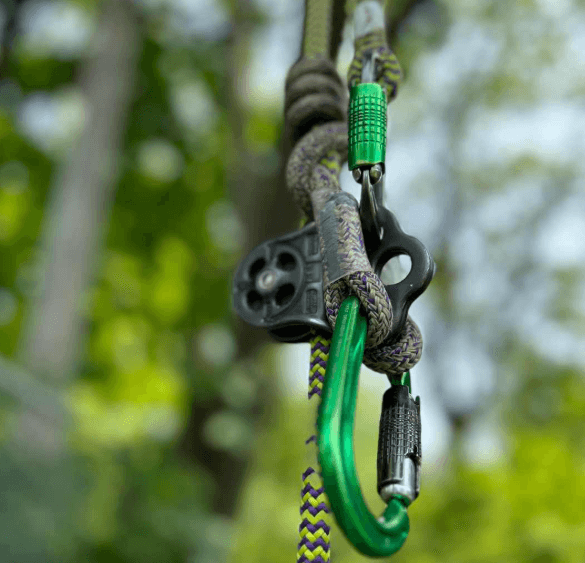 Close-up of a Hitch Climber Tree Climbing Kit components with pulley and carabiners.