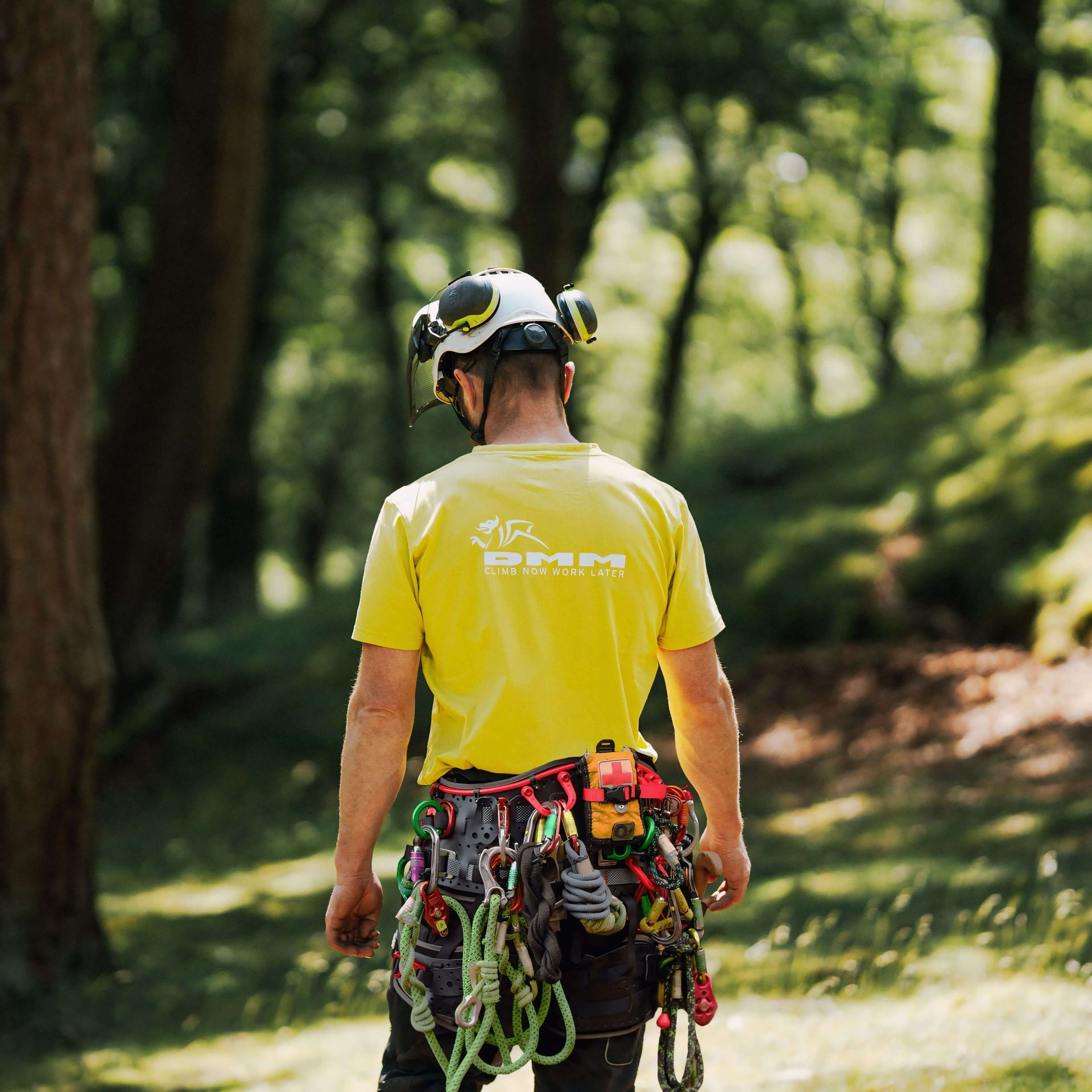Tree surgeon wearing DMM gear in a bright yellow shirt, surrounded by lush green trees.