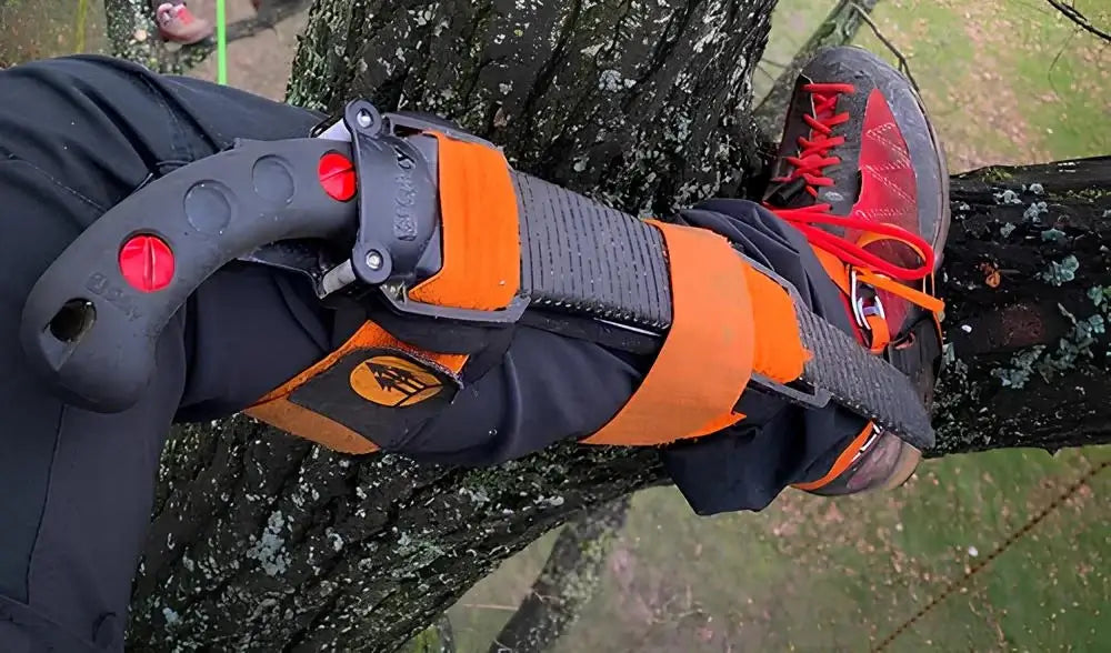 Tree surgeon's leg strap and sawpod on a tree limb, enhancing stability and safety during pruning tasks.