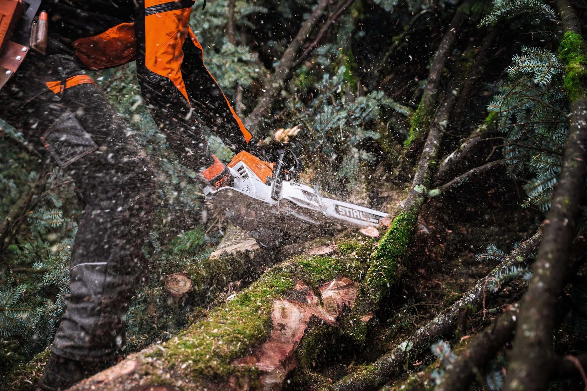 STIHL Professional Chainsaws in action, showcasing powerful cutting performance for tree surgery and forestry.