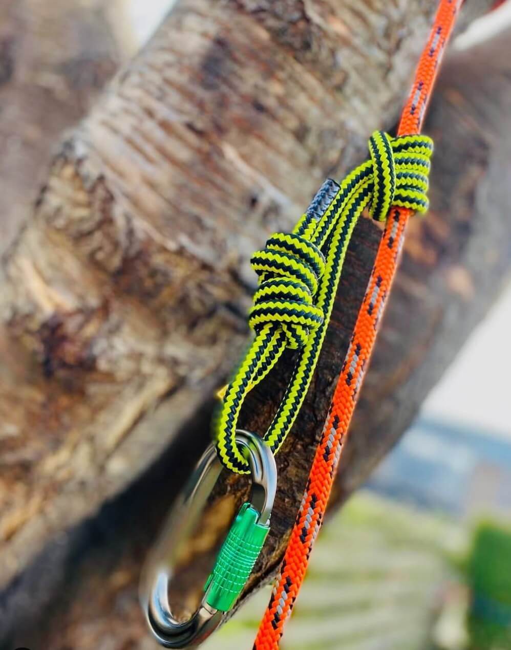 Friction Cord Per Metre showcasing a knot on climbing system with karabiner attached to tree.