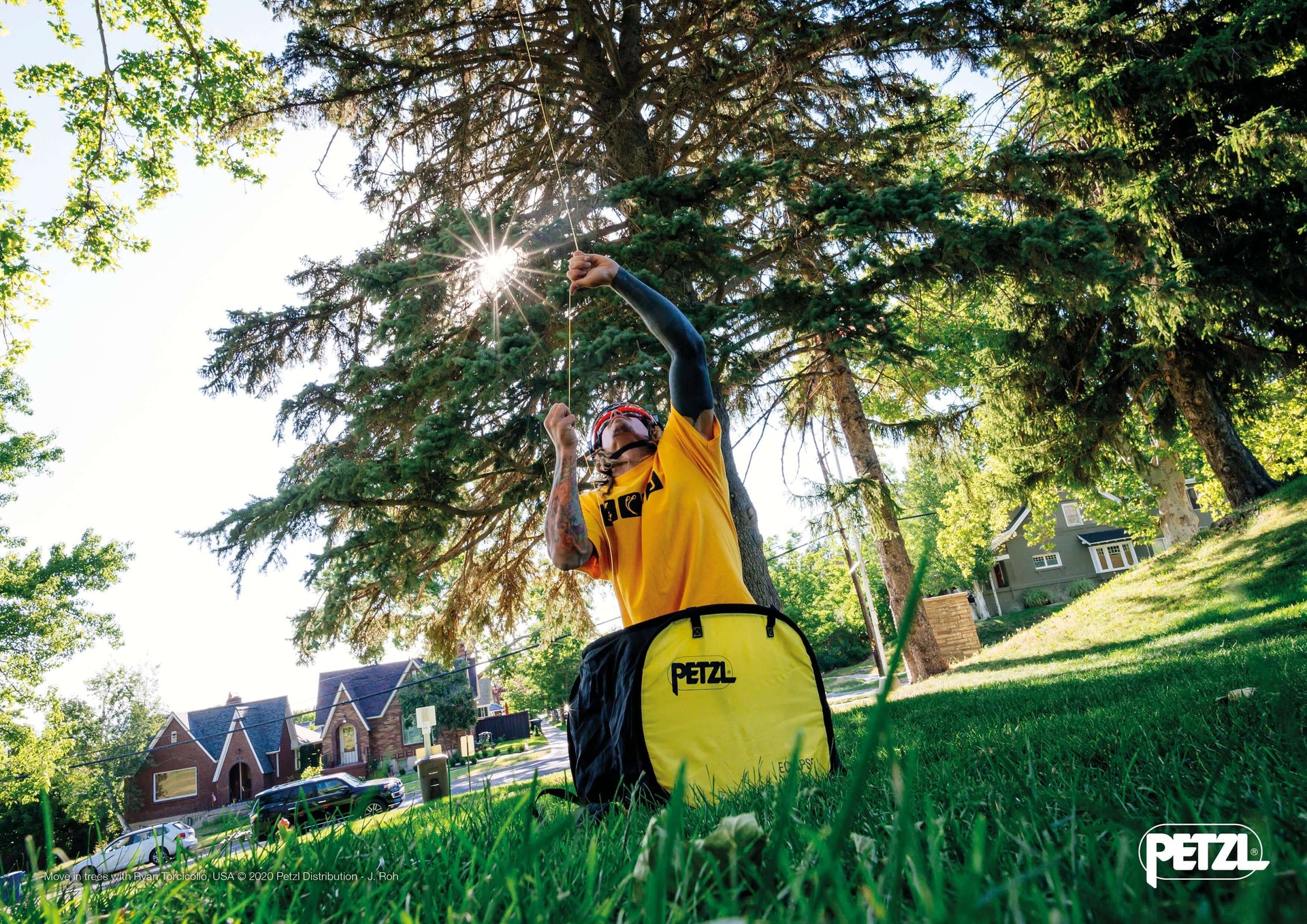 Tree surgeon using Petzl climbing gear in a sunny park, demonstrating safe equipment for climbing tasks.