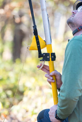 Tree surgeon using a throwline catapult for precise canopy access with professional equipment.