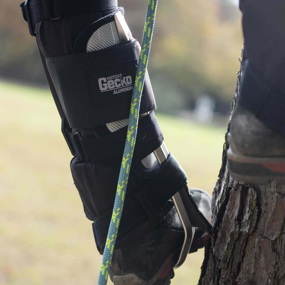 Close-up of a climbing gaff strapped to a tree with a climbing rope, showcasing equipment for tree surgeons.