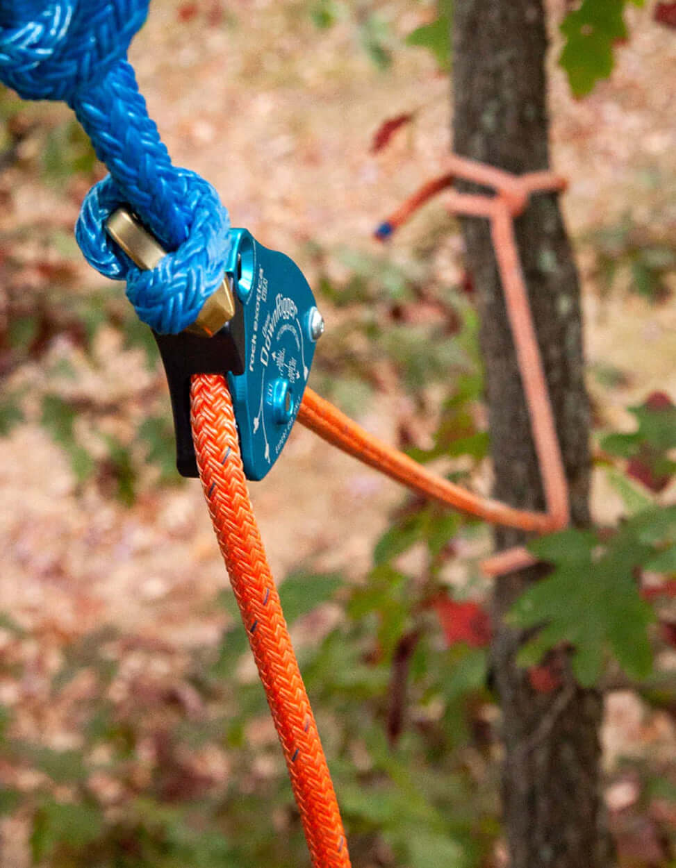 Close-up of a tree surgeon lowering device with blue and orange ropes, ensuring safe descents for tree care.