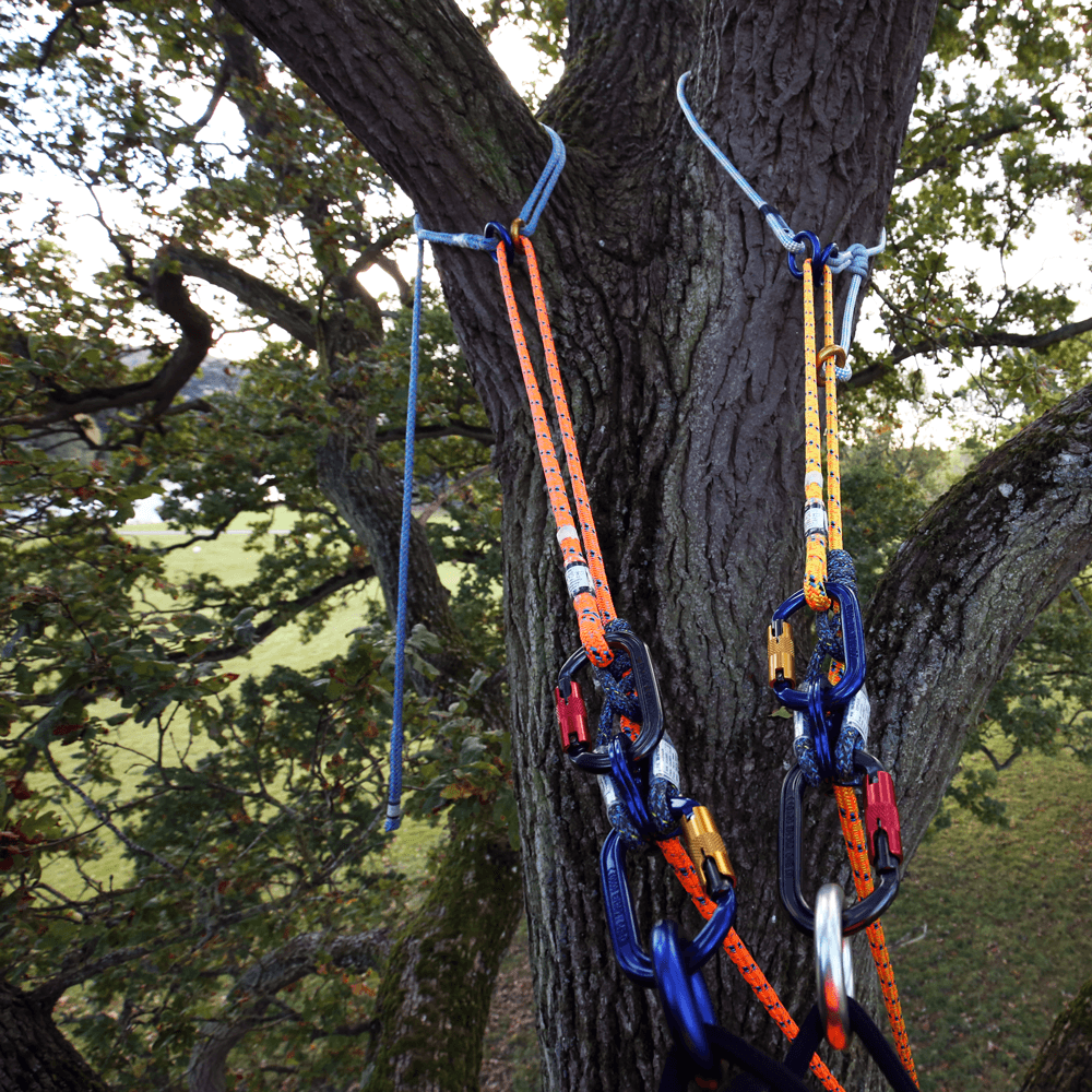 Adjustable slings attached to a tree, used by tree surgeons for safe climbing and load management.