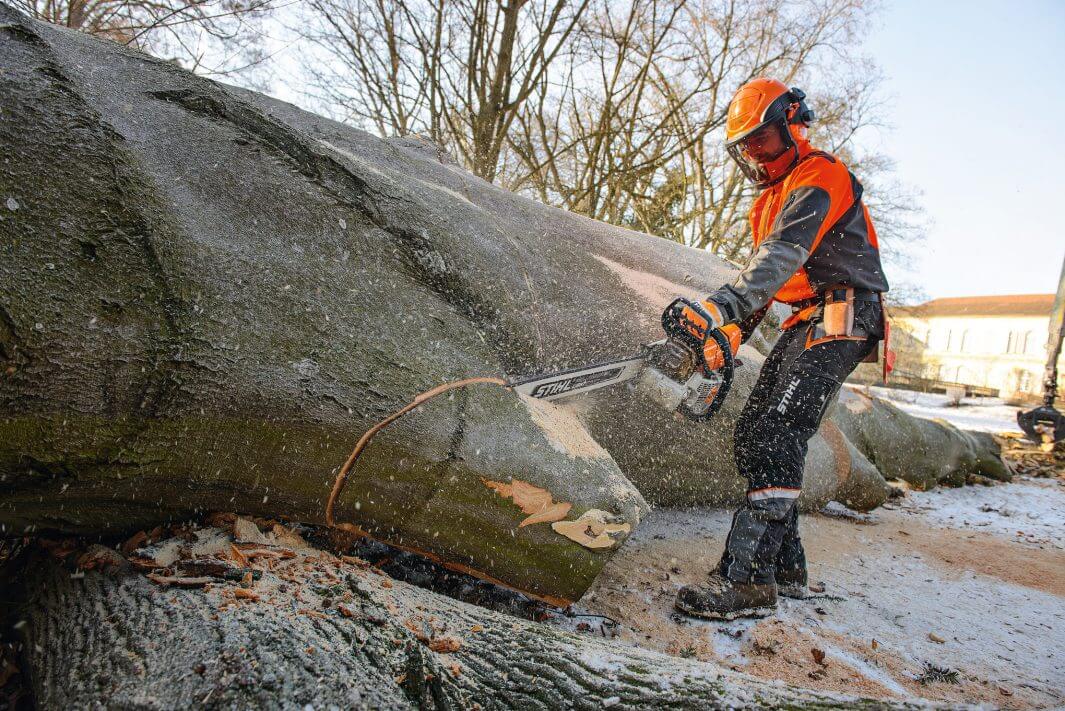 Tree surgeon using a MS 661 C-M petrol chainsaw to cut down a large tree trunk outdoors.