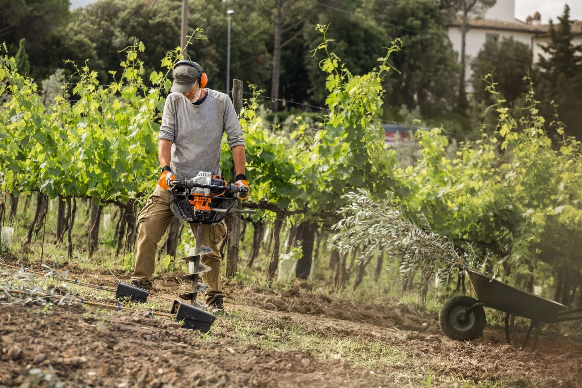 A tree surgeon using a STIHL Earth Auger to dig holes in a vineyard for planting or installations.