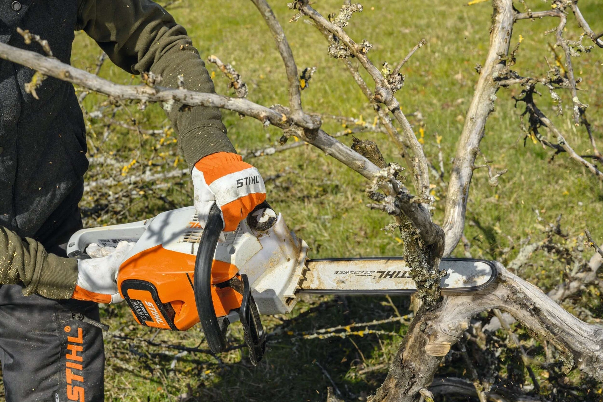 Tree surgeon using STIHL AP Battery chainsaw to trim branches in a garden setting, showcasing powerful cordless technology.