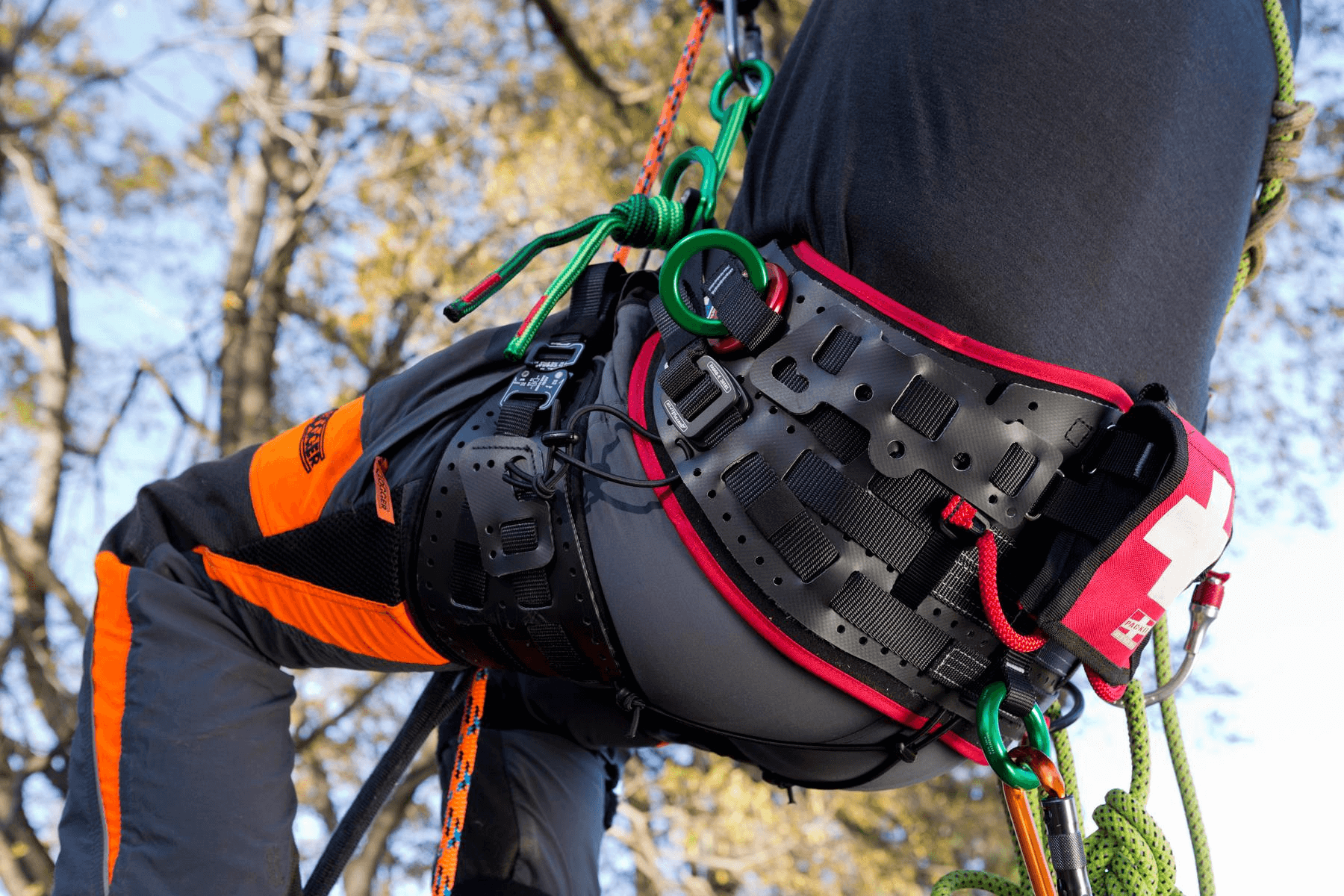 Close-up of a tree surgeon's climbing harness, showcasing comfort and safety for professional tree work.